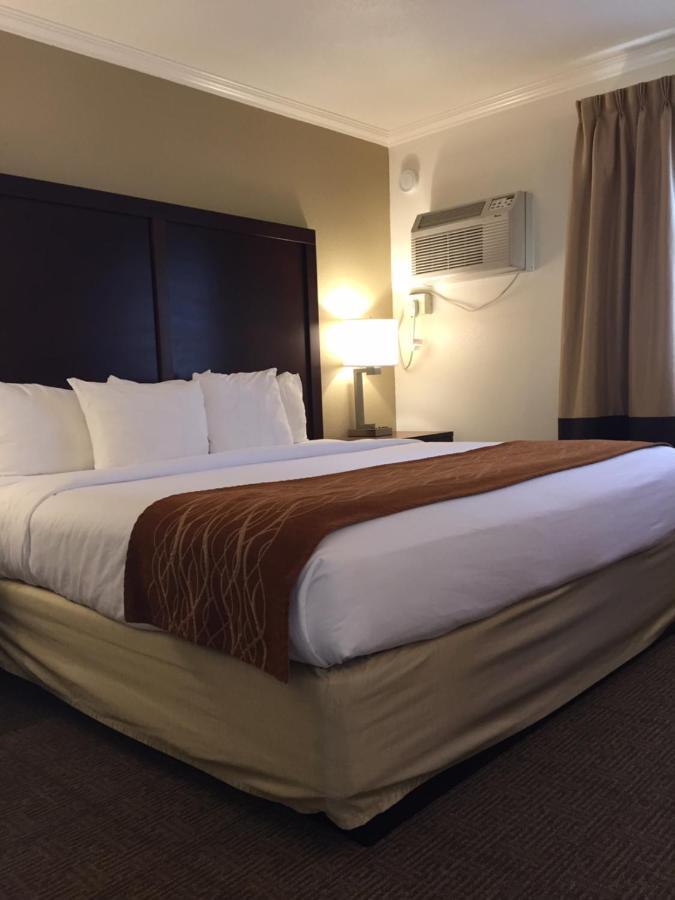 Comfort Inn Santa Cruz Zewnętrze zdjęcie
